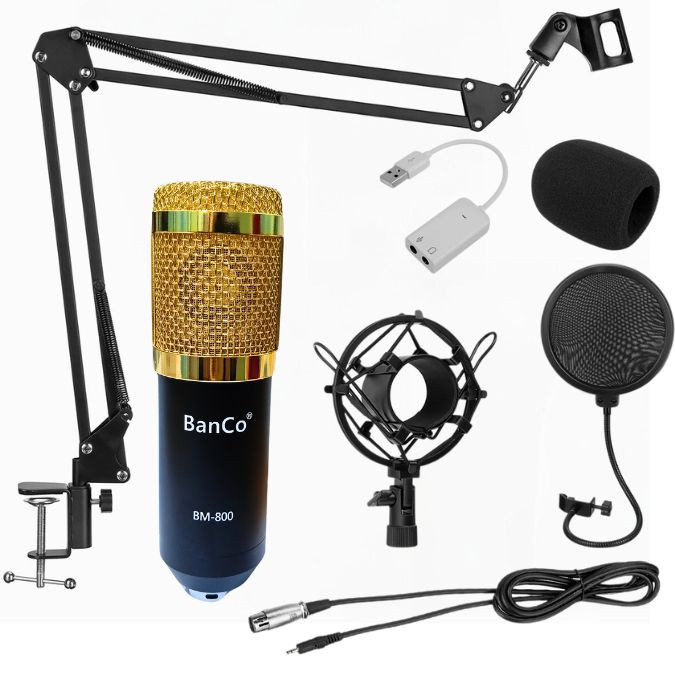 BanCo BM800 Condenser Recording Microphone (Studio Setup)